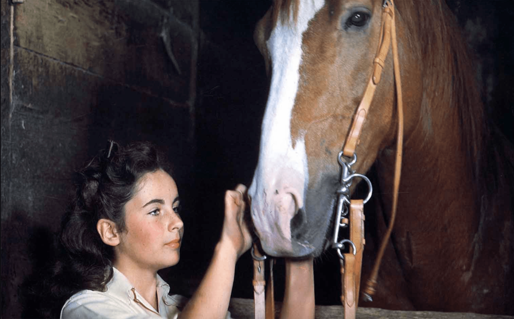 National Velvet Quad Cinema